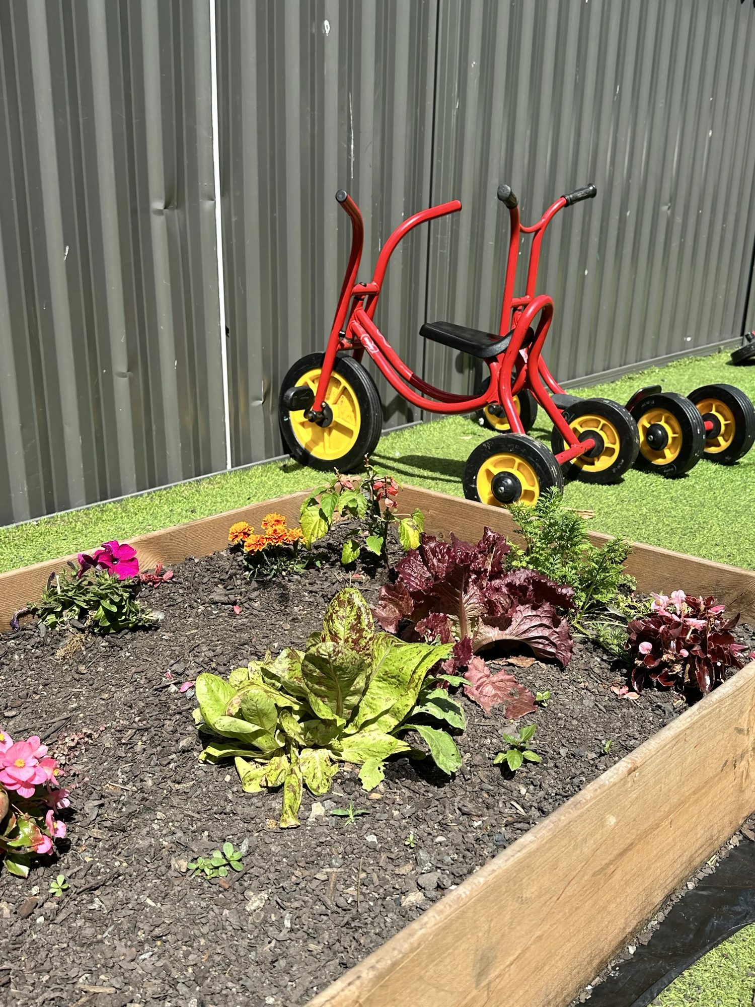 Children's veggie and flower garden with red trikes at Daisy Cottage